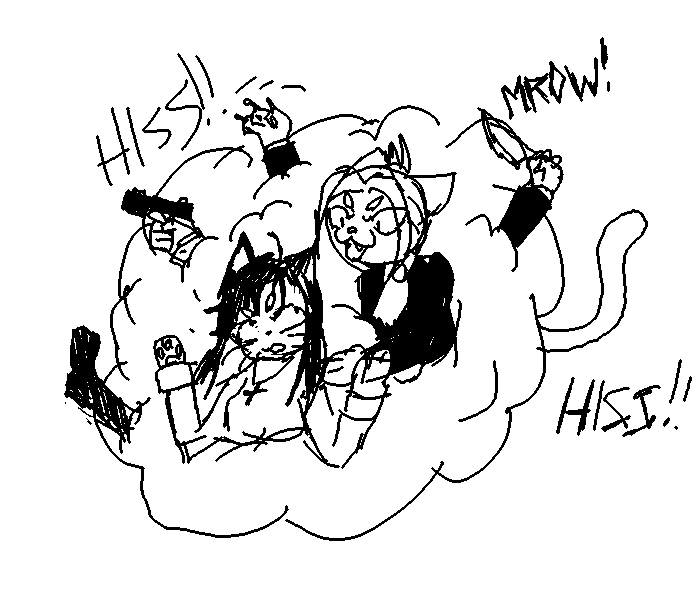 catfight3.png