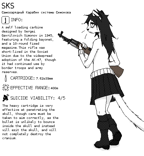 infograph_sks.png